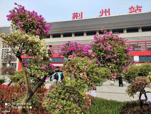 昆山到荆州物流公司-昆山到荆州专线-2023热门专线