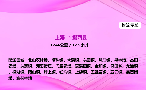 上海到揭西县物流专线_上海物流到揭西县_上海至揭西县物流公司
